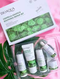 KIT CENTELLA ASIATICA VIAJERO